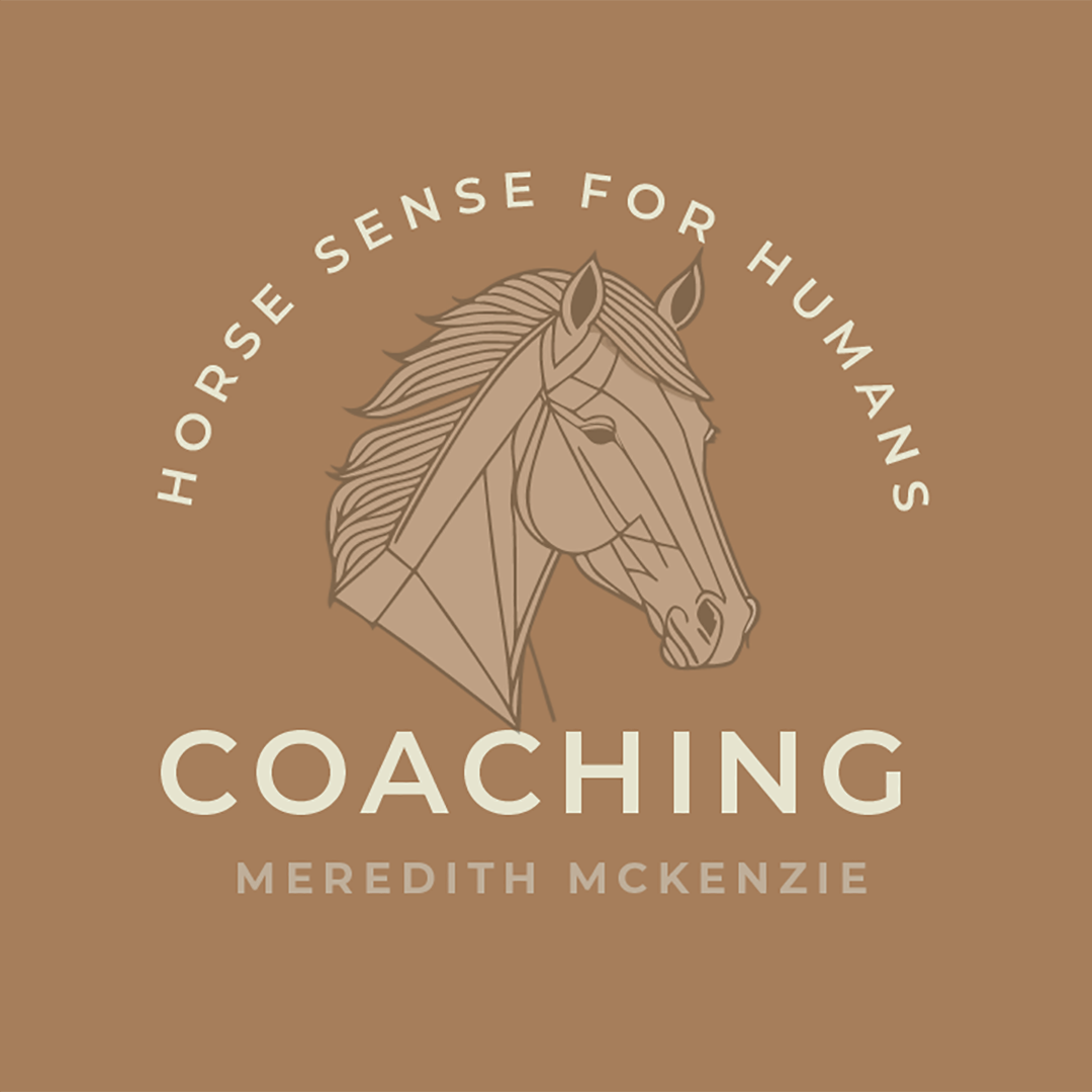 Horse Sense For Humans logo Coaching